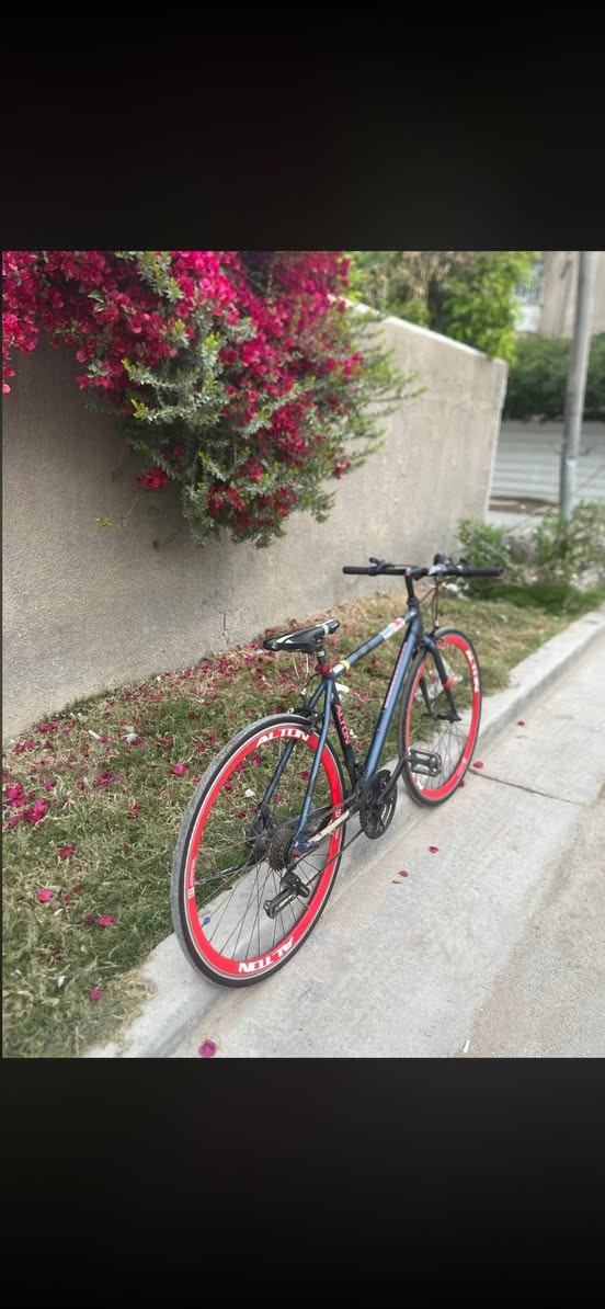 اذا تأخذهن ثنينهن أشوفك بسعرهن
الرصاصي 

السلام عليكم بايسكل C700 ياباني 

ماركة ALTON  اليابانيه 

البايك مختم من الطول للطول 

وكل اجزاء الهيكل ختم واحد حتى الكشن 

سيستم شيمانو.. كير بريكات بدالات 

✈️🔻ملاحضه\ البايك فافون  يعني وزن ريشه حتى اخف من الالمنيوم 

الون..  نيلي طافي 

المواصفات.. 

1\ بريك امامي خلفي شغالات 

2\ كيوره البدلات كلها شغاله امامي خلفي 

3/ المكينه 3×7 سستمهن شيمانو 

4/جوابة جدد وتايرات اصليات 

5\وباقي مواصفاته معروفه 

............ 

🔻السعر  135وبيه مجال بسيط

و البايسكل فافوننن مو حديد 

______________

الأبيض 

للبيع بايك قطعة  كلش قويه تروكلر  

ويل متغير لون 

ابيض و بنفسجي 

النضافة 100/10000 كلش كلش نضيف 

كير امامي خلفي مع بريكات كامله 

160 وبيه مجال بسيط كلش 

مكاني بغداد حي الإعلام 

***********
