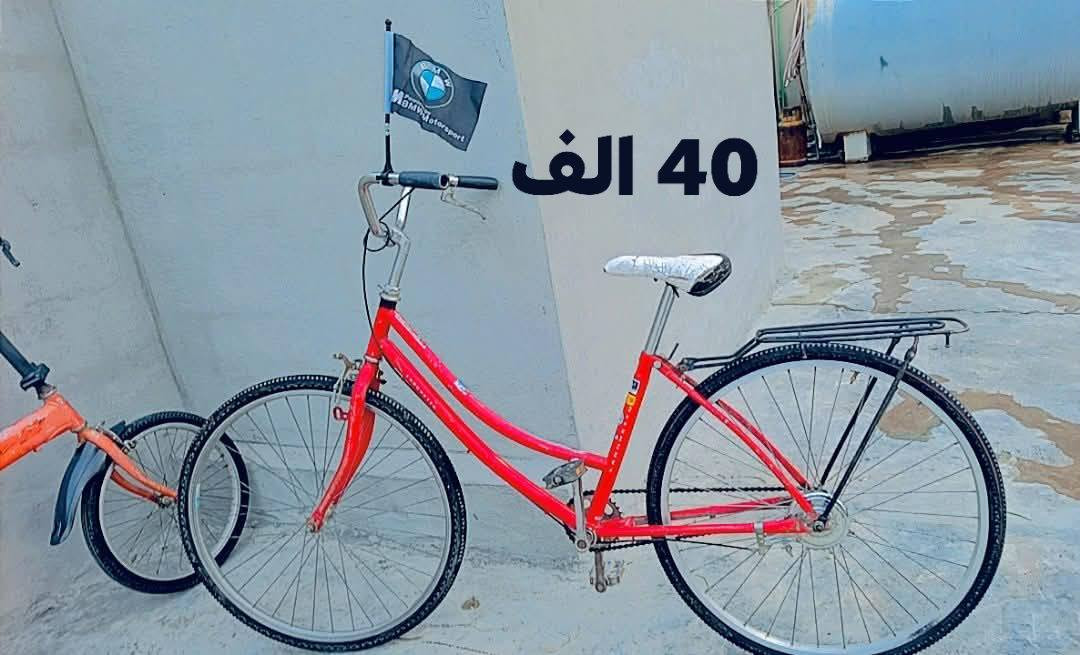 عنوان كركوك


**إذا كنت صاحب هذا الإعلان وتريد حذفه لأي سبب، رجاءا أرسل رسالة إلى الدعم الفني**