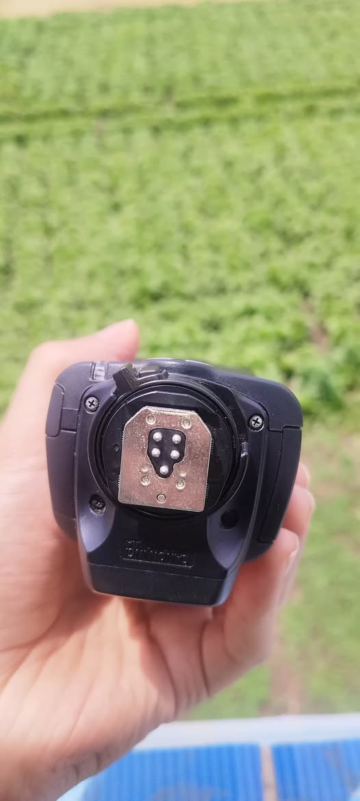 للبيع


**إذا كنت صاحب هذا الإعلان وتريد حذفه لأي سبب، رجاءا أرسل رسالة إلى الدعم الفني**