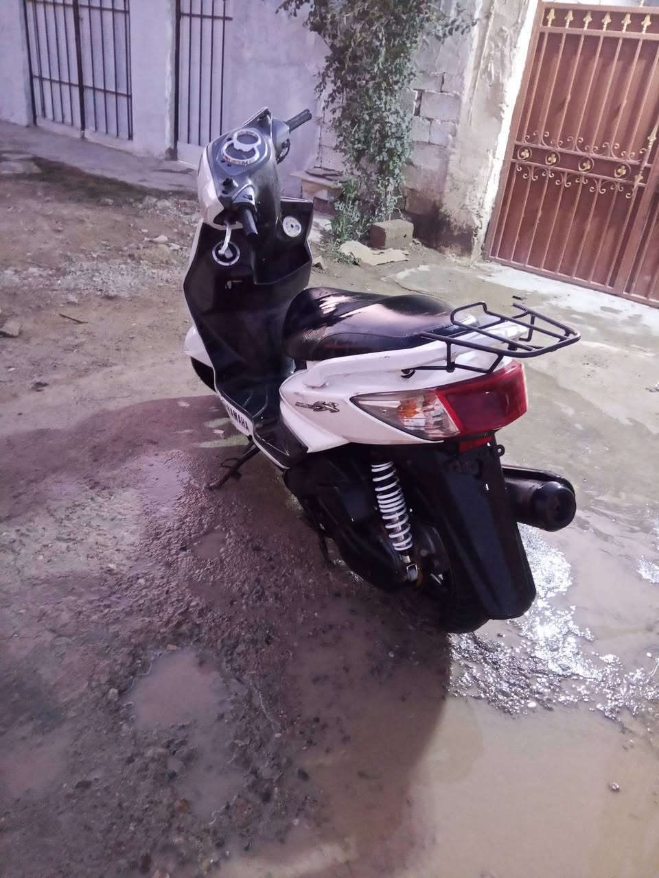 سلام عليكم دراجة سكنس فحل على كفالة عامة كلة بلاد دراجة كامل مكملة نكرة كهربائي كلة شغل الدراجة بلادية من الطول للطول شرط الكفالة للبيع  ( مكاني ديالى بعقوبه ) رايدهة ابـ 600 وبيها مجال قليل شراي اتصل  ( *********** )
