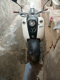 فينو • شغاله • گلچات ما تمشي