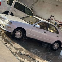 بطة • ٢٠٢٧ • ميسان