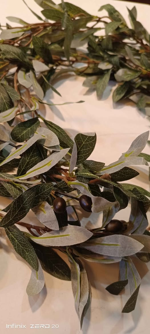 اغصان زيتون بغداد, العراق


**إذا كنت صاحب هذا الإعلان وتريد حذفه لأي سبب، رجاءا أرسل رسالة إلى الدعم الفني**