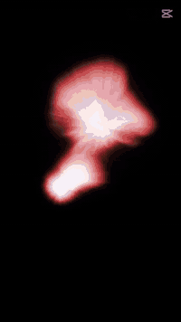 تواجد الثلاثاء • اختصاص باطنة قلبية • بورد عراقي