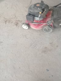 ترتيب حدائق • تنسيق حدائق