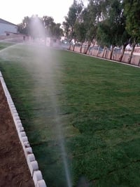 🔸 ترتيب وتنظيم الحدائق ☘️ 🔸 زراعة شتلات وأشجار زينة🌹 🔸 تقليم وتعديل ال...