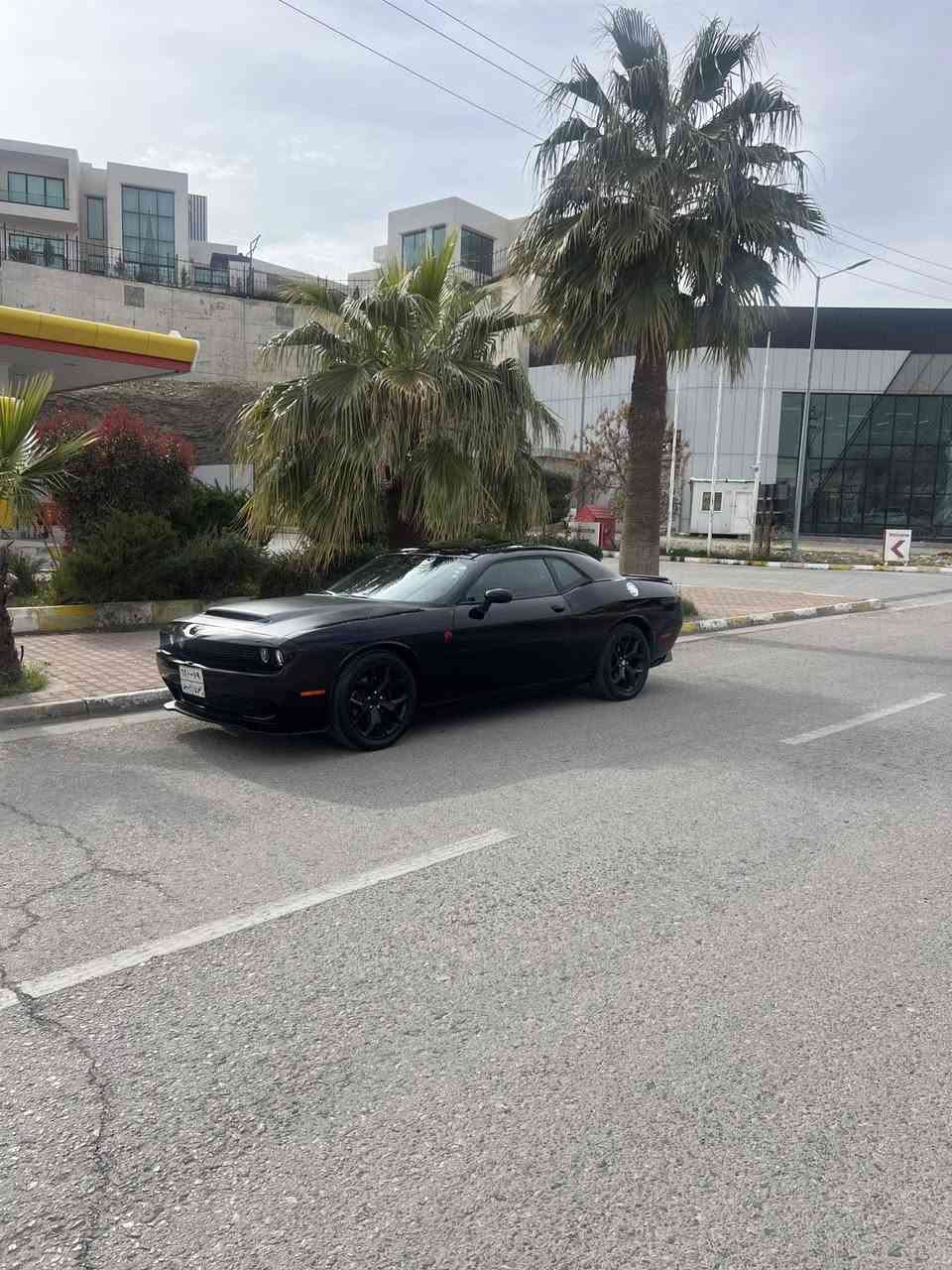 خليجي  فولل فول  S  x  t
2017   بونيت ديمون  شتيكي باك و جوان ٨ وه ره قه غرامي تياي دواى معامله ايگيرمه وه سياره كه ناسراوه
له قوتي خوى بيزاره  صالونصي دوو  مود هيه صوتي عادي و سبورت به ده ست خوته نرخى (144)  ماله كه م جوانه معامله له له ر قم ( ***********) السليمانية, العراق
