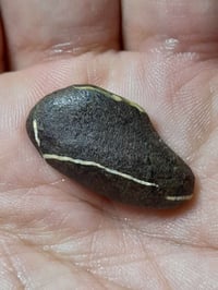 حجر هبهاب • معطف اصلي • توصيل مجاني