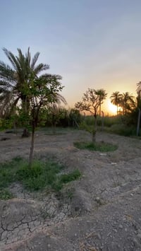 يعلن مكتب عقارات المجتبى 🏠 عن توفر قطع أراضي بأسعار مناسبه 💵 100 متر 2...