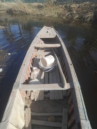 جينكوا • املس • بصرة ابو خصيب