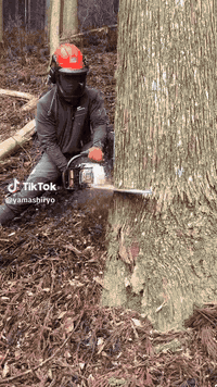 السلام عليكم ورحمة الله وبركاته
اخواني العزاز النعده سجر ويريد يگصهن خابرني اني اجي كصهن واخذهن ذا ماتريدهن 

***********
