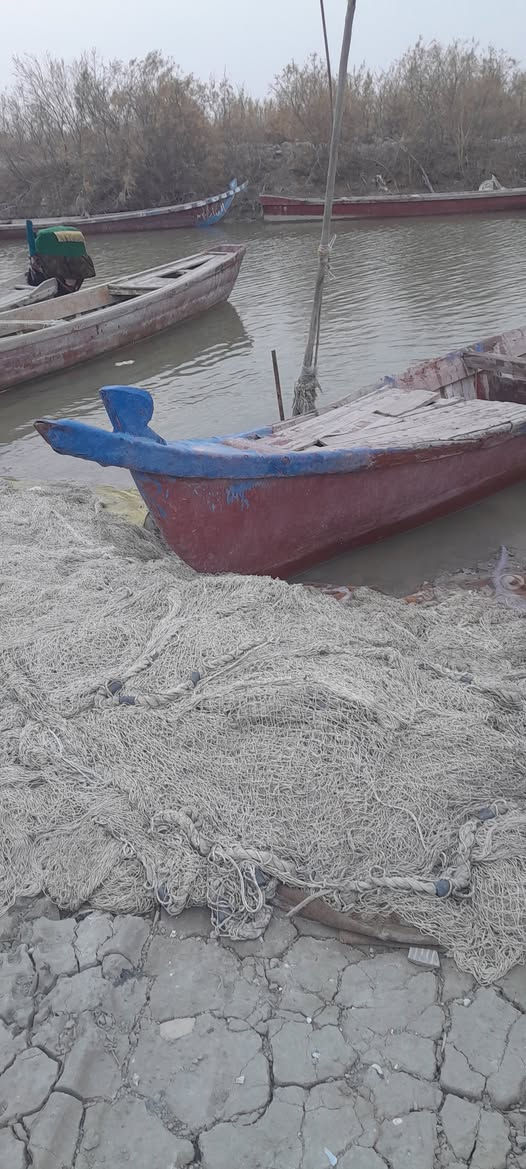 سلام عليكم ورحمة الله وبركاتة بلم للبيع السعر مناسب 225وبيه مجال العنوان ذي قار قضاء الجبايش ناحية المنار للاستفسار الاتصال على الرقم ***********
