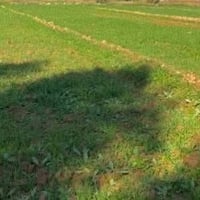 أرض زراعية • ٤ دونم • سند ٢٥
