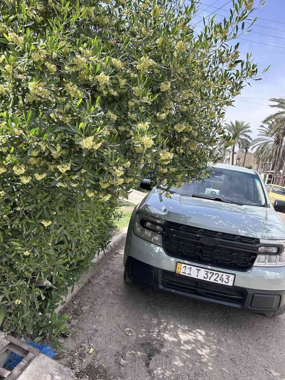السلام عليكم           للبيع فورد مافريكXL 2023  هايبرد محرك 2500 مرقمة بغداد باسمي اني المستورد والمالك السيارة بدون حادث اصطدام يعني مكفولة الشاصي واللغود والاير باك والدواخل
حادثها بامريكا سقوط ثقل على البنيد والزجاج الأمامي مثل مامرضت بالصور
السعر 170 
جاهزة من كل شي 
سيارة جدا نظيفة
تحويل مباشر


**إذا كنت صاحب هذا الإعلان وتريد حذفه لأي سبب، رجاءا أرسل رسالة إلى الدعم الفني**