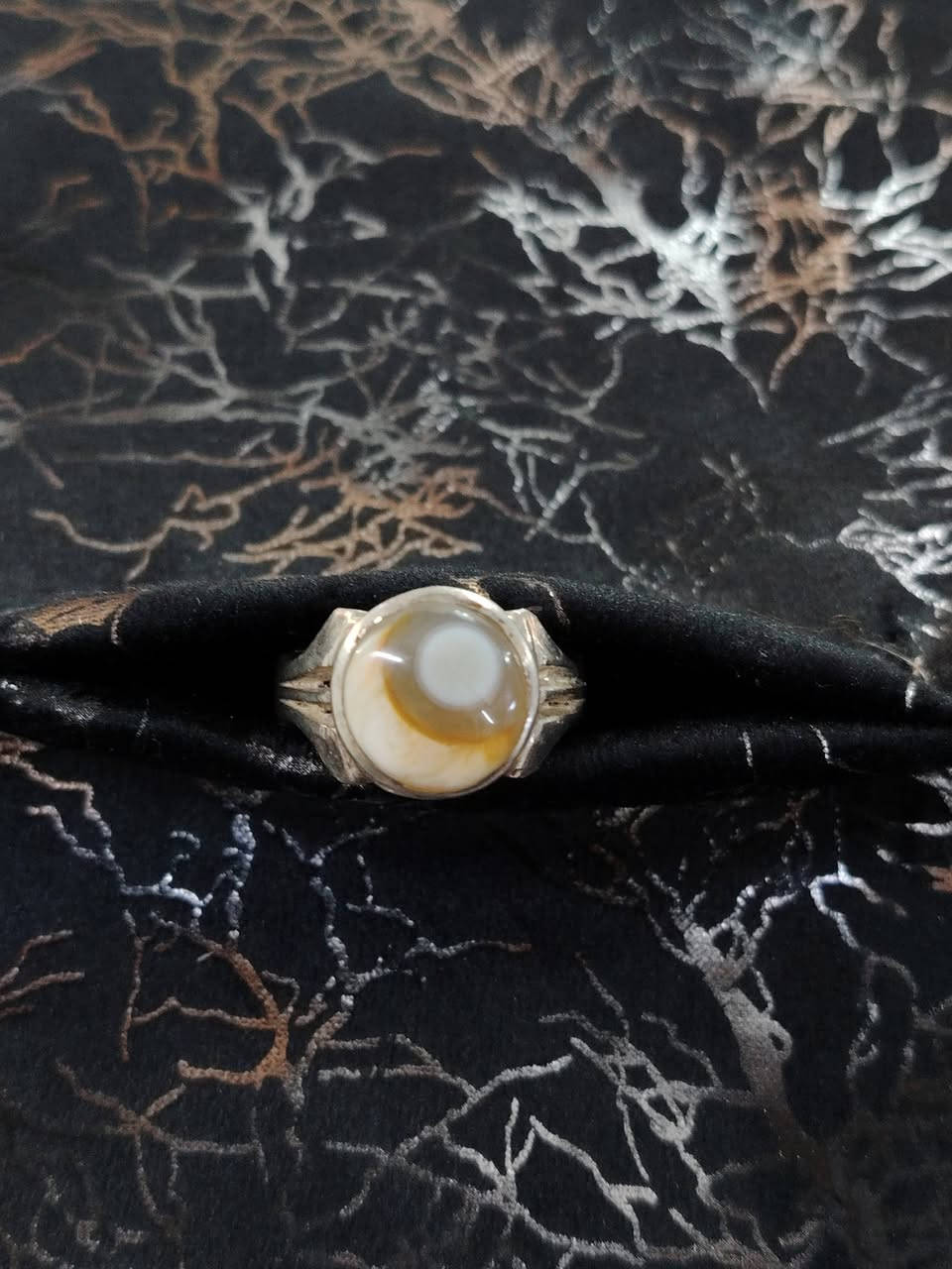 سليماني هلال نوادر للبيع
*********** واتساب فقط
