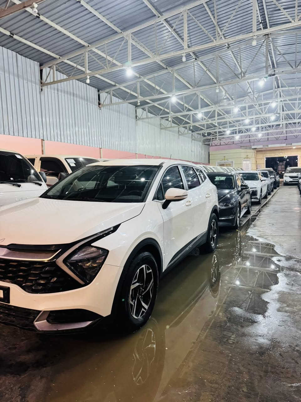 بســـــم الله الرحمن الرحيم 
تم وصول وجبه الى معرض سيد حسام الشرفي💁‍♂️

                  (زورونه ستجدون كل ماهو جديد🥇)٨
   
         

‏ كيا بيجو 2023 وأربعة وعشرين غاز وغاز فول وصفات ألوان أبيض كميات متوفرة

‏ سبورتج 2023 فول مواصفات لون أبيض غاز كوري كميات 
متوفرة

ازيره 2022فول مواصفات هايبرد+بانزين اسود داخل ابيض 

￼ازيره 2023 وأربعة وعشرين غاز فول مواصفات لون أبيض ورصاصي كميات متوفرة شكل قديم وشكل جديد

‏كي8 2023 والمواصفات غاز ألوان أبيض ورصاصي كميات متوفرة ￼

‏سوناتا 2023 فول مواصفات غاز لون أبيض ورصاصي وأسود كميات متوفرة شكل قديم شكل جديد

￼كي3 2023 نص فول كوري كفالة عامة ￼لون أبيض عدد واحد

￼ كيا اوبتما ￼ 2020 عمري خليجي فول مواصفات بي قطعتين من الخليج مكينة 2000 ￼

￼ كيا اوبتما￼￼ 2017 اصفر أمريكي حلوة السيارة ناشفة

📍بابل الشوملي قرب السيطره 
الاستفسار ***********
***********
