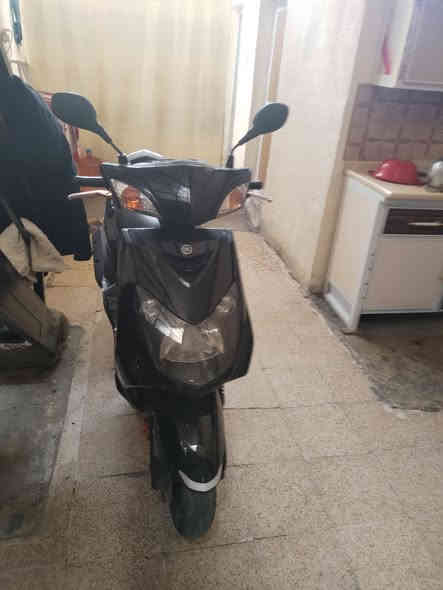 سلام عليكم سكنس فحل ورد ياباني ام طلاعات خطين نوزل البيع رقم الجوال *********** مكان بغداد
