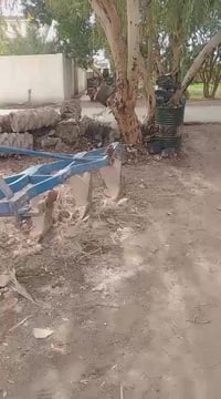 فدان رباعي • ٢٠١٤ • المثنى الرميثه