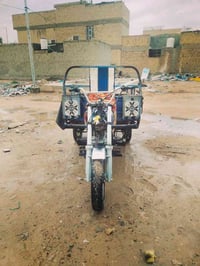 ستوته • ٢٠١٣ • رقم الماني