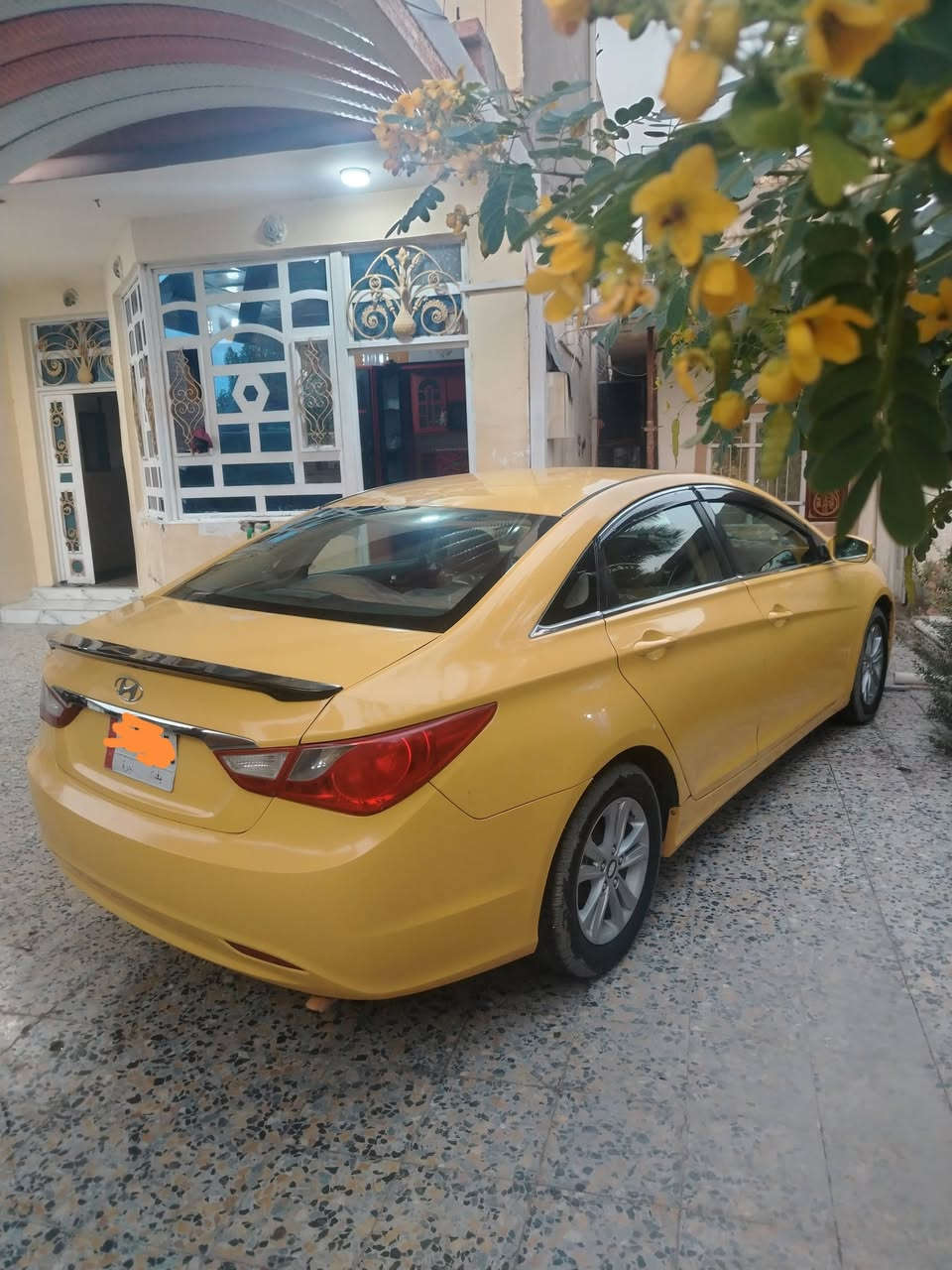 سلام عليكم 
للبيع سوناتا خليجي مديل11 رقم بغداد الماني مشروع وطني سياره جاهزه مكينه 2400دوش لاتنقيص ولابخار كير جيدجدا حداديه امامي وخلفي تخم تايرجديد ويل جديد  دوشمه كاعيه وسفريات وتنته وكشنات قبل كم يوم وادامه كامله سريفس لسياره تبريد قطعتين + تدفه سياره جاهزه لشغل مال جناي سياره بدون ضرر داخلي شواصي لغود مكفولات وصبغته حلوه 
اخوان رجاء المايعجبه لايكسربسياره وشراي يتصل 
مكاني بابل 
السعر 93 بيه مجال 
رقمي ***********
