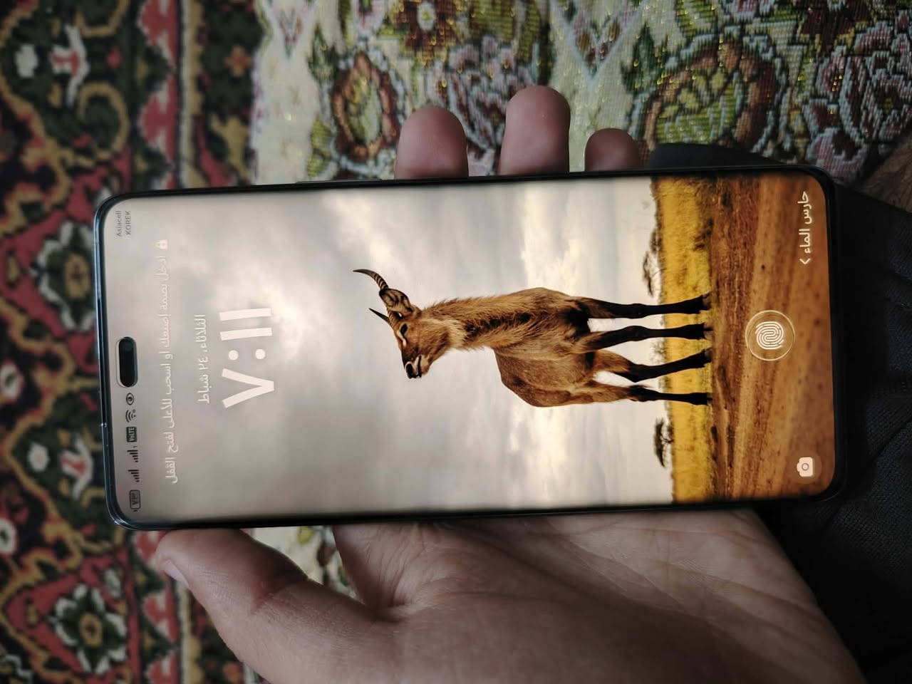 السلام عليكم هونر x9c جهاز نظافه 95٪ ذاكرة 265 رام 12 او للبيع 280 قفل


**إذا كنت صاحب هذا الإعلان وتريد حذفه لأي سبب، رجاءا أرسل رسالة إلى الدعم الفني**