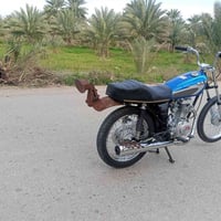 رابيدو • شاصي٢٥ • تعميره٢٦