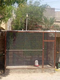 محميه • للبيع