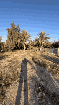 نصف دونم للبيع بستان سياج بلوك بالكامل  مع بيت قديم (تفليش) بواجهة ١٤....