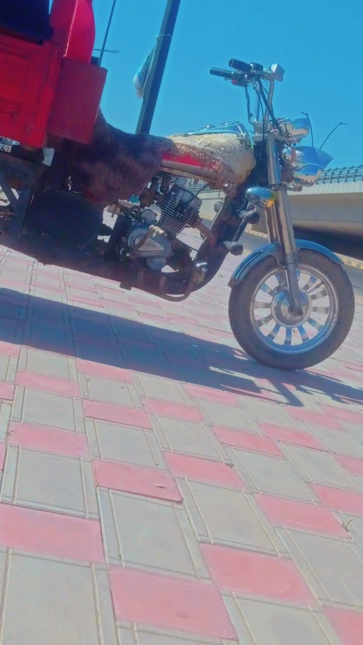 السلام عليكم MTRرقم اسود راعيها موجود شاصي مكفول كهربائيات شغاله مكينه خير من الله  العنوان كوفه شارع المعمل السعر خاص


**إذا كنت صاحب هذا الإعلان وتريد حذفه لأي سبب، رجاءا أرسل رسالة إلى الدعم الفني**