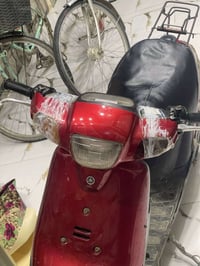 بوتين • معمر • درع مكسور