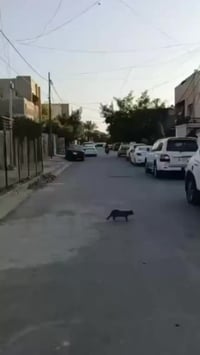 دار للبيع مساحه ١٠٢ متر  واجهه ٥ متر  بناء حديث  شارع عريض عدد غرف الن...