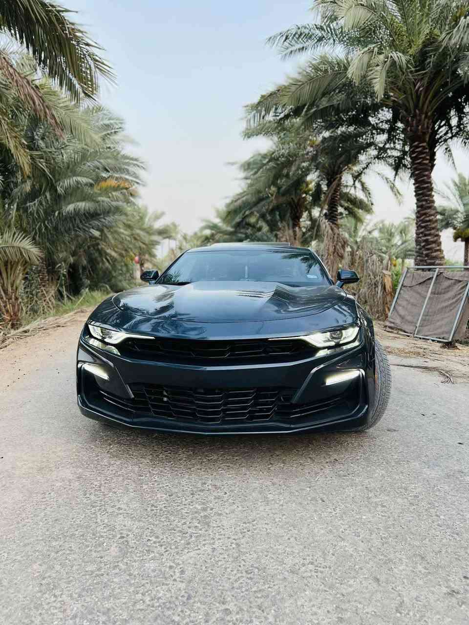 السلام عليكم  عندي كموره 23 مكينه 4 سلندر تيربو فول مواصفات فتحه سقف كهربائي شاشه كبيره كامره دواره بصمت تشغيل وبصمت ابواب تشغيل عن بعد تحكم ستيرن شفتات بالستيرين قياده ذاتيه تحديد مسار قفل سرعه السعرخاص 
***********
