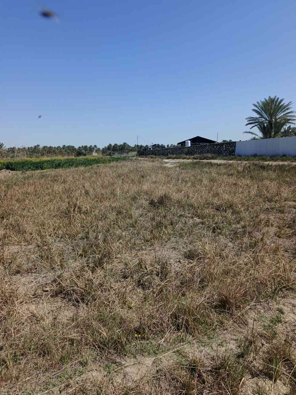 اسلام عليكم اخوان قطعه الرض لبيع دونم و400 متر طابو زراعي سند 25 
شرط التحويل 
مكان الرض قرب حسينيه سيد شاكر مكانه كلش حلوه
مثل ماشوف بل صور  تصلح سكن  او مزرعه    بسعر مناسب 
خدمات كامله استفسار اكثر او السعر اتصال ع ***********                ***********
