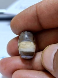 الجزع اليماني • أصيل • توصيل