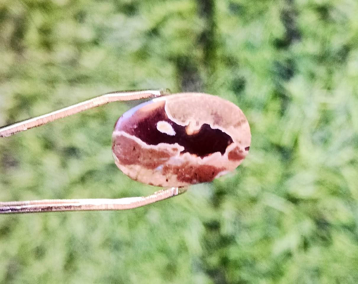 عقيق يماني ذمه وطبيعي طحلبي مصور

للبيع بـــــ 15ــــ***********واتساب
