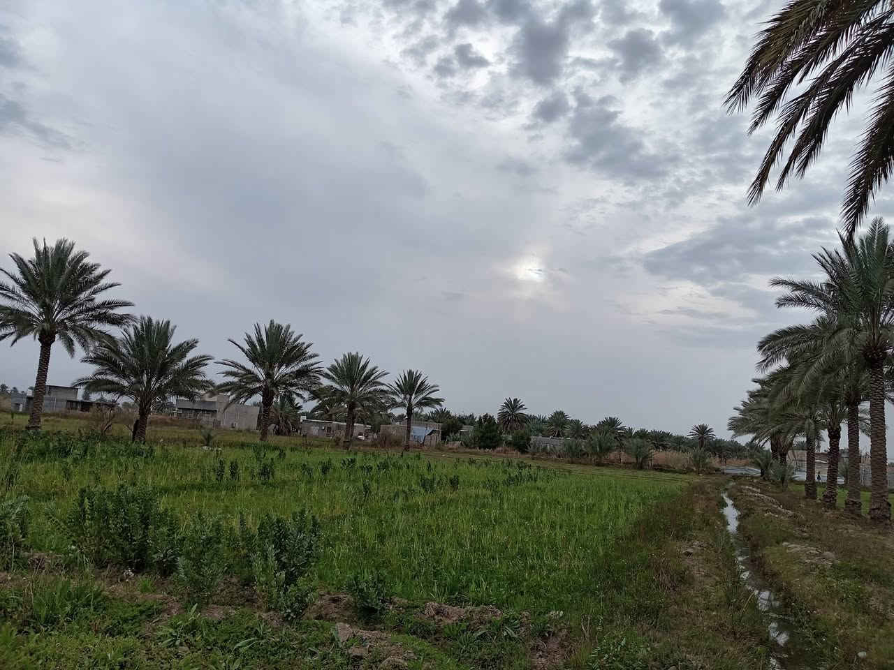 السلام عليكم
دونم أرض زراعيه سند 25 بأسمي متوفر ماء سقى وماء اساله وكهرباء الأرض تحتوي على 13 نخله وكما مبين بالصور أدناه مكانها قرب الإمام سهل عليه السلام منطقة العجيمي باقي التفاصيل الاتصال على الرقم *********** غير متواجد عالفيس بصوره مستمره
