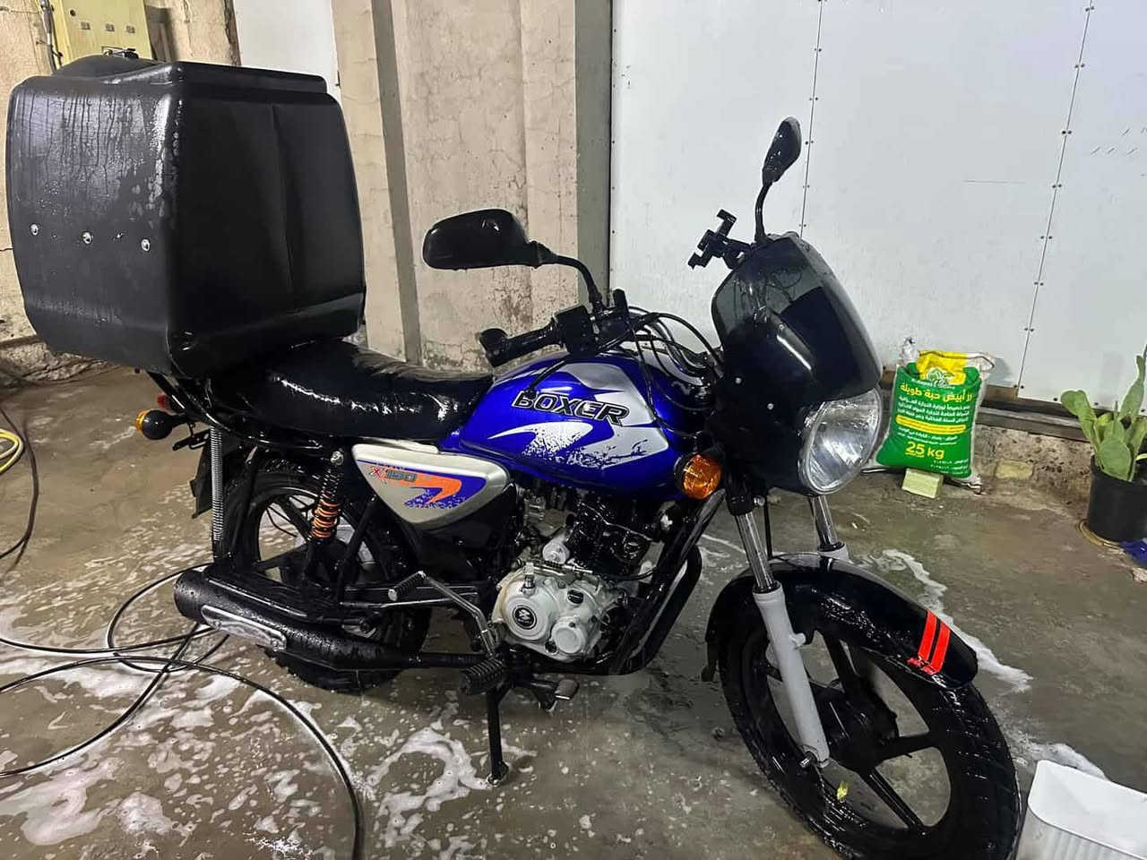 سلام عليكم داجه بوكسر كلاسك للبيع موديل 21 اوراق كامله 1100 عنواني الزعفرانيه


**إذا كنت صاحب هذا الإعلان وتريد حذفه لأي سبب، رجاءا أرسل رسالة إلى الدعم الفني**