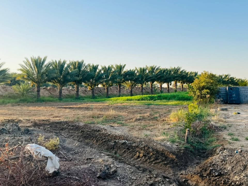 السلام عليكم ارض زراعيه للبيع 15دونم  الموقع زبيدي شاخه 9  الاستفسار
***********
