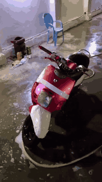 بوليس مزود  للبيع او مراوس
مكان بغداد الكاظمية السعر 400 بيها مجال 
رقم*********** متواجد خاص
