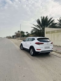 توسان • ٢٠١٦ • رقم سليمانيه