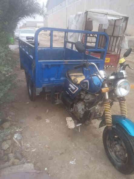 ستوته 16 اوراق أصوليةكوت ***********
