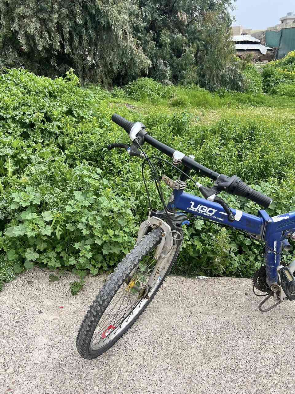 بايسكلي جبلي حجم 26 ✅
كير 7 نمرات شرط 
صطابات شرط 
نضيف مثلما موضح بالصور 
السعر 70 بيع فقط ‼️


**إذا كنت صاحب هذا الإعلان وتريد حذفه لأي سبب، رجاءا أرسل رسالة إلى الدعم الفني**