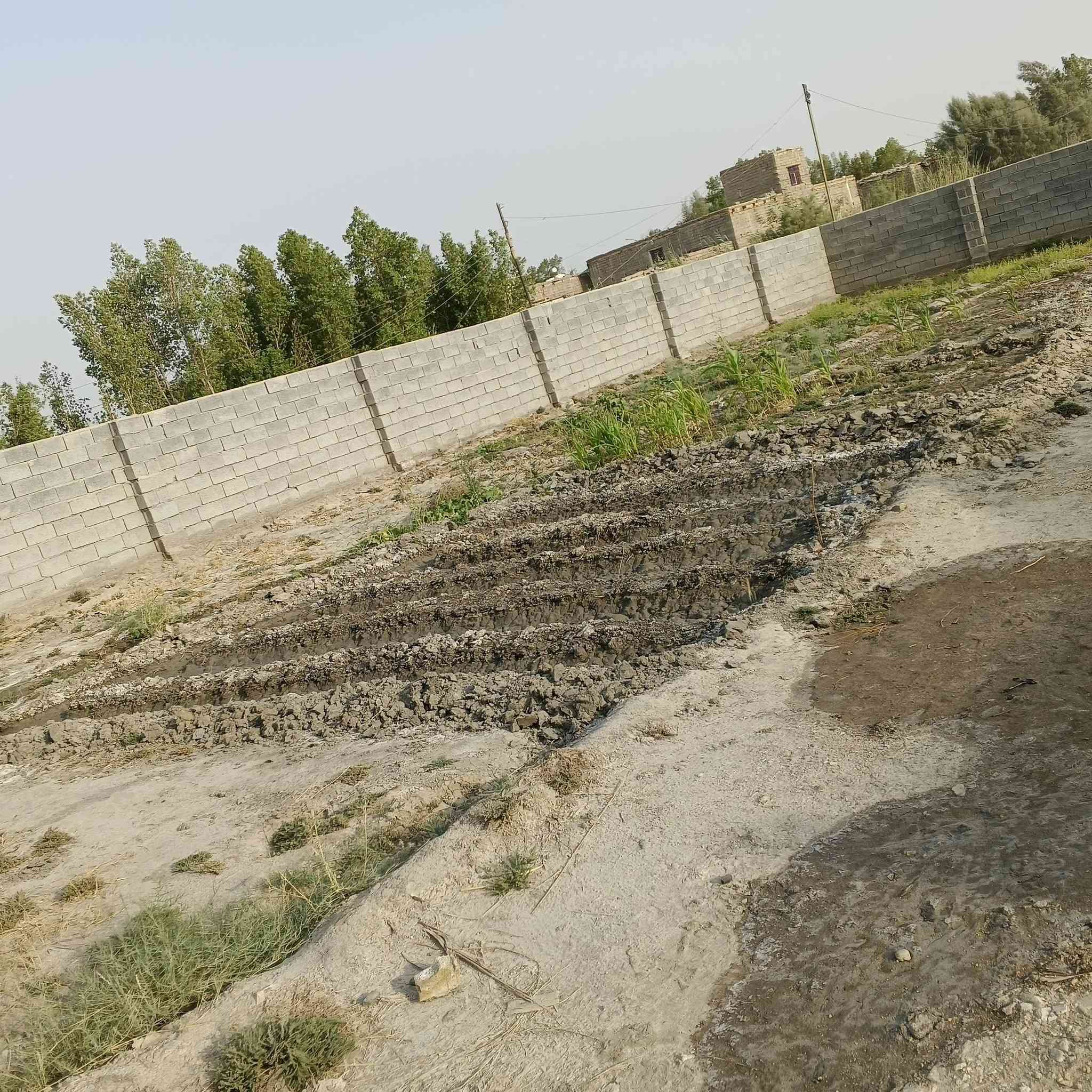 للبيع زراعي منطقه خفاجه/ سوق الشيوخ /  مع بيت مساحته180م البيت حديث بي نقص سراميك البيت مرتب وشغل درجه وله سياج كامل داير ما داير البيت عوزه سراميك يحتوي على 3غرف ومطبخ وصاله مساحه كليه 1250  ‏الاستفسار *********** مكلف بالنشر
سعر 60
