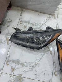 لايتات امريكي • اصليات • جنسس