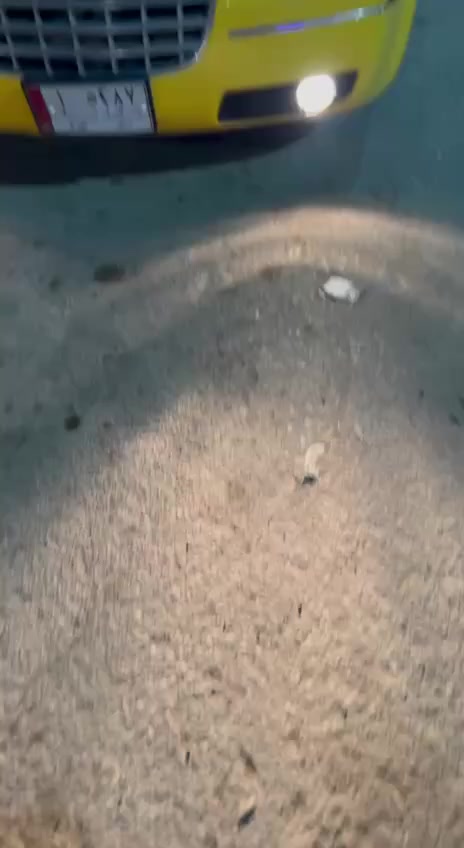 اوباما 2009 مشروع وطني خطها كوت بغداد تعمير جديد من صبغ وسمكره ووياله وماصدات وگير ومكينه ودوشمه وطبگه راديترات مع مراوح ام الاثنين نقصها صدر وغاز تبريد فقط بيها كص قماره سعرها ٨٧ وبيها مجال ان شاء الله
*********** مكاني كوت واسط
