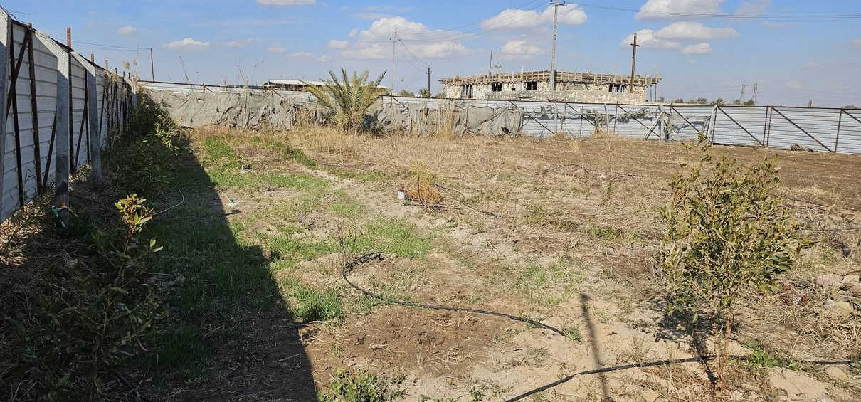 للبيع ..مزرعه خلف حي الجامعه المساحه ١٠٠٠ متر متوفر خدمات ماء كهرباء للاتصال ***********
