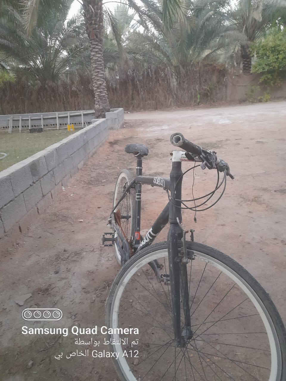 السلام عليكم 
بايسكل رياضي للبيع لسعر 100 آلاف مكاني كربلاء طويريج ( سياحي لدعوم )


**إذا كنت صاحب هذا الإعلان وتريد حذفه لأي سبب، رجاءا أرسل رسالة إلى الدعم الفني**