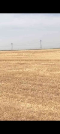 ٢٠٠-٥٠٠ دونم • ايجار • على نهر دجلة