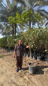 بِسْــــــــــــــــــمِ اللهِ الرَحْمَنِ الرَحِيْمِ  الهم صلي على محم...