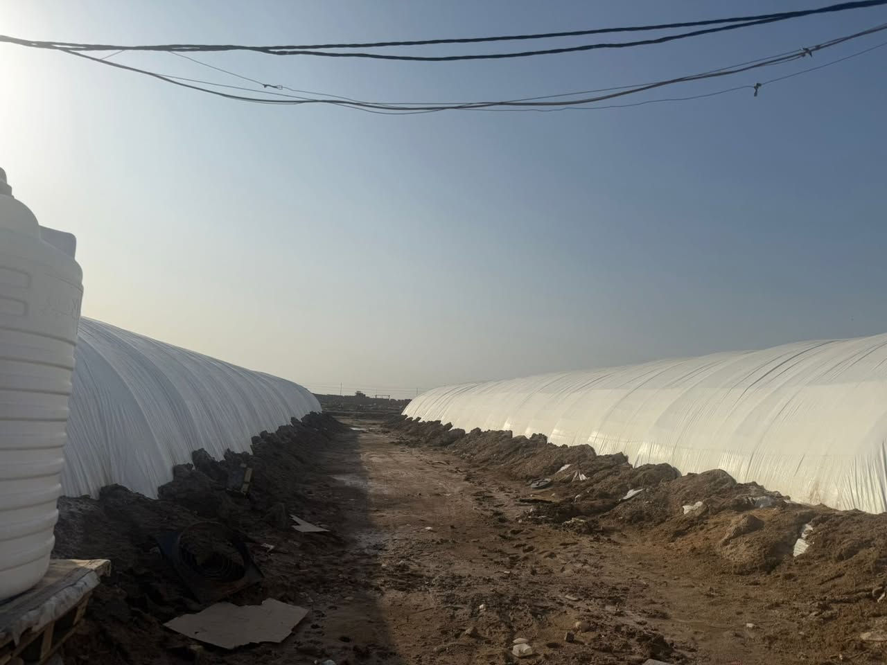 مشروع استثماري 
ارض زراعيه مساحه ٧ دونم مجازه من الدوله تحتوي ع ٣ حقول نظام المغلق بلاستيكي جاهزه للعمل والحقل الرابع قيد الإنشاء بالإضافه إلى محوله كهرباء ١٠٠ كيفي فقط للأرض 
مولدات عدد ٢ كمنز ١٥٠ كيفي 
بيركز ١٢٥ أمبير كاتم 
ماء احواض تانكيات خزن ماء التدفئة غاز و نفط بويلر غرفه عدد ٢ للعمال مع صحيات وكل غرفه سبلت شغال راوتر عدد ٢ 
الموقع خلف بيت سيد عقيل ابو الشيت طريق جاهز لحد الحقول

للاستفسار والتواصل
***********
***********
